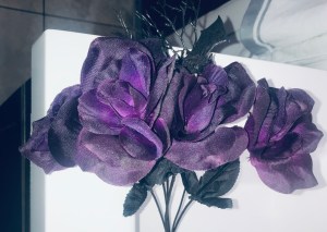 IMG_4979